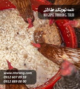 دان مرغ لوهمن